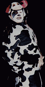 Cow